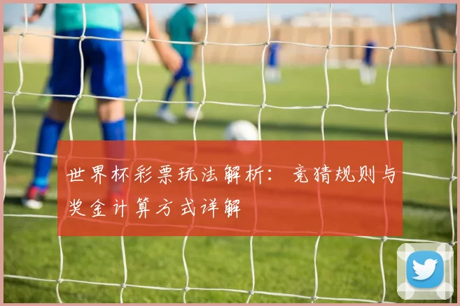 世界杯彩票玩法解析：竞猜规则与奖金计算方式详解
