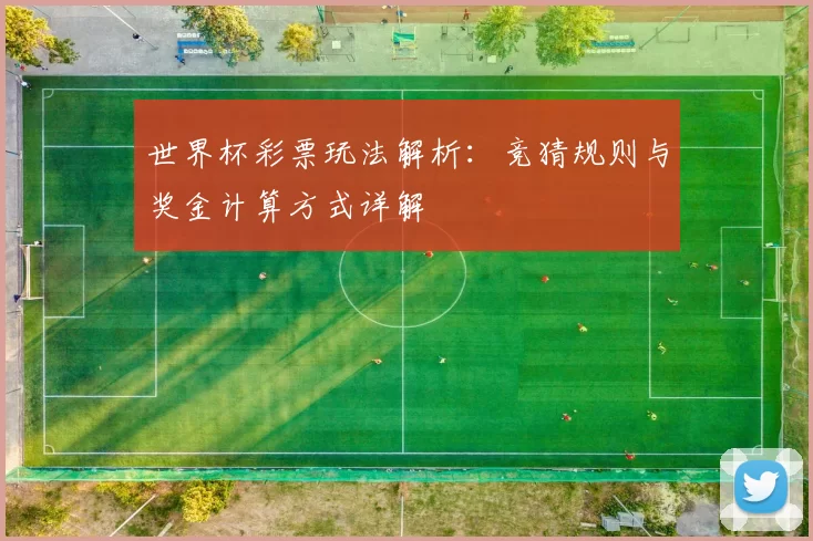 世界杯彩票玩法解析：竞猜规则与奖金计算方式详解